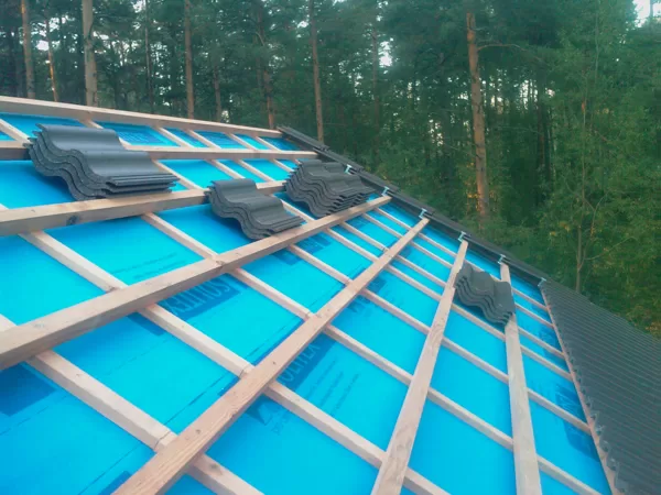 ProClima 20